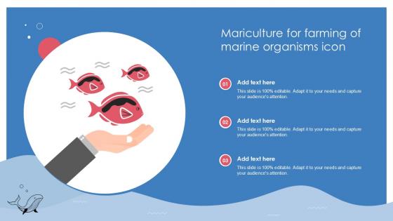Mariculture For Farming Of Marine Organisms Icon Ppt Example