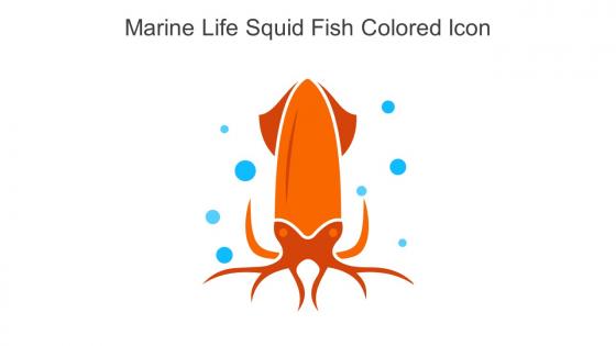 Marine Life Squid Fish Colored Icon In Powerpoint Pptx Png And Editable Eps Format