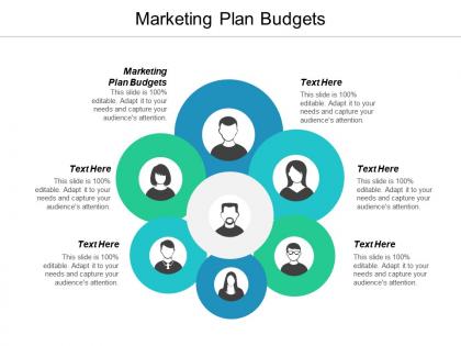 Marketing plan budgets ppt powerpoint presentation icon example topics cpb