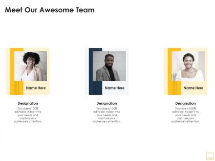 Meet our awesome team online video hosting platform ppt icon graphics