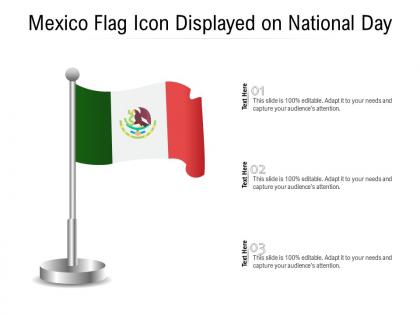 Mexico flag icon displayed on national day