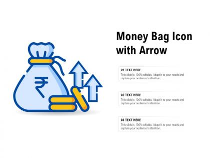Money bag icon with arrow