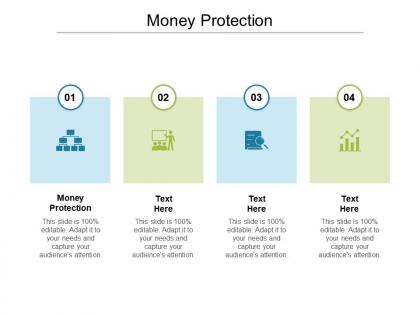 Money protection ppt powerpoint presentation icon structure cpb