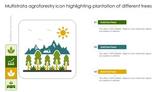 Multistrata Agroforestry Icon Highlighting Plantation Of Different Trees