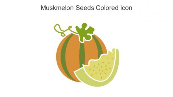 Muskmelon Seeds Colored Icon In Powerpoint Pptx Png And Editable Eps Format