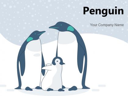 Penguin african standing beach aquatic animal emperor