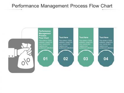Performance management process flow chart ppt powerpoint presentation inspiration icon cpb