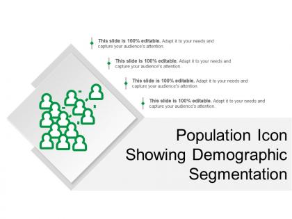 population_icon_showing_demographic_segmentation_Slide01