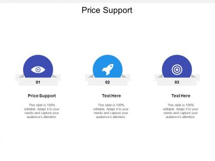 Price support ppt powerpoint presentation icon portfolio cpb