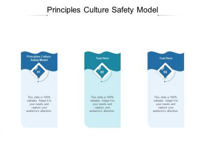 Principles culture safety model ppt powerpoint presentation icon guidelines cpb