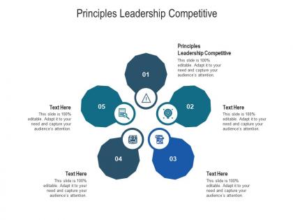 Principles leadership competitive ppt powerpoint presentation icon demonstration cpb