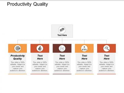 Productivity quality ppt powerpoint presentation icon designs download cpb