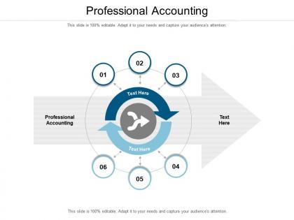 Professional accounting ppt powerpoint presentation icon microsoft cpb