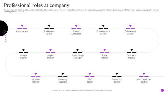 Professional Roles At Company Cyberbacker Company Profile Ppt Powerpoint Presentation Icon