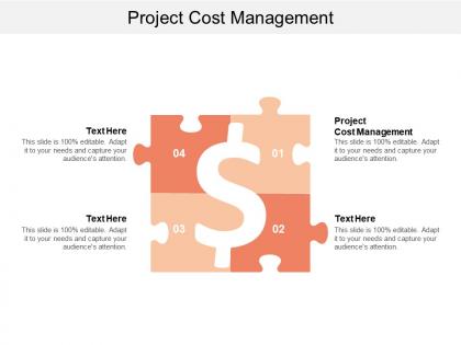 Project cost management ppt powerpoint presentation icon themes cpb