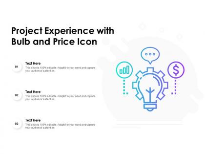 Project experience with bulb and price icon