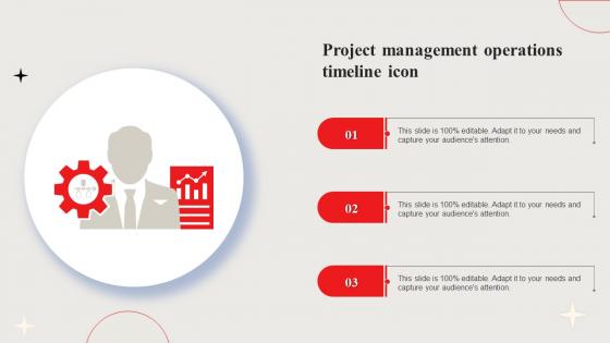 Project Management Operations Timeline Icon