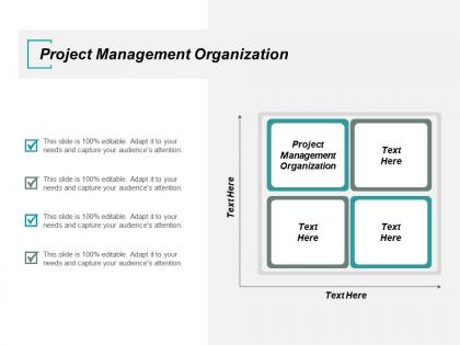 Project management organization ppt powerpoint presentation icon influencers cpb