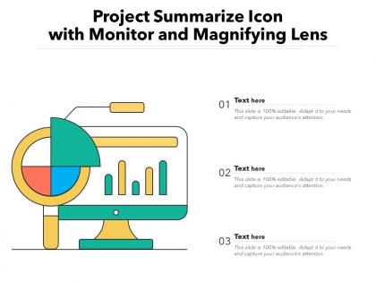 Project summarize icon with monitor and magnifying lens
