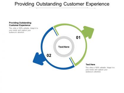 Providing outstanding customer experience ppt powerpoint presentation icon maker cpb
