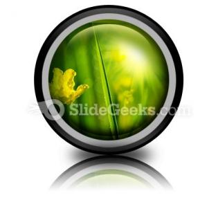 Wet Meadow Nature PowerPoint Icon Cc  Presentation Themes and Graphics Slide01