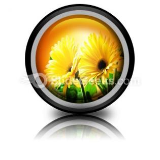 Yellow Daises PowerPoint Icon Cc  Presentation Themes and Graphics Slide01