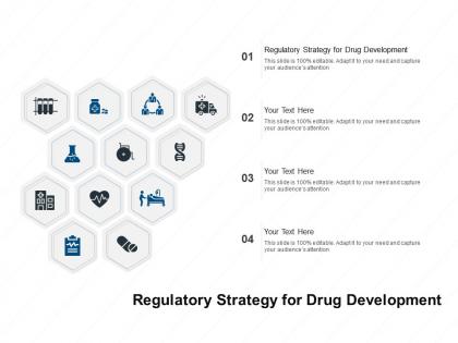 Regulatory strategy for drug development ppt powerpoint presentation icon ideas