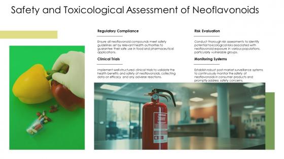 Safety And Toxicological Assessment Of Neoflavonoids PPT Example ST AI SS