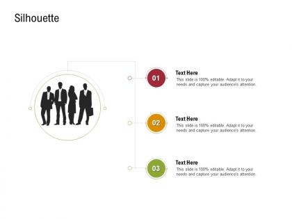 Silhouette sustainable supply chain management ppt icons