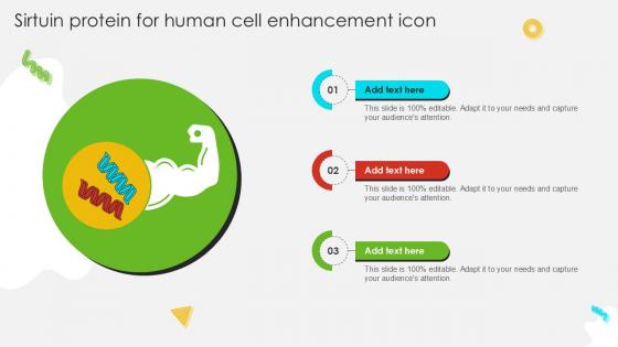 Sirtuin Protein For Human Cell Enhancement Icon Ppt Presentation