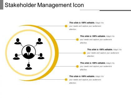 Stakeholder management icon 10