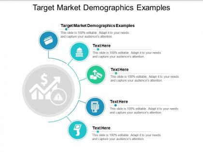 Target market demographics examples ppt powerpoint presentation icon graphics pictures cpb