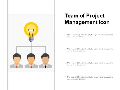 Team of project management icon