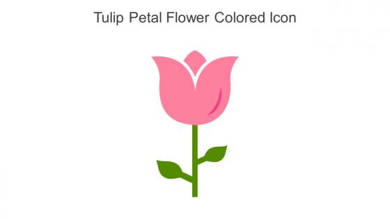 Tulip Petal Flower Colored Icon In Powerpoint Pptx Png And Editable Eps Format