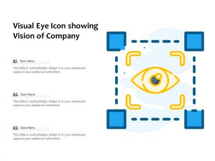 Visual eye icon showing vision of company