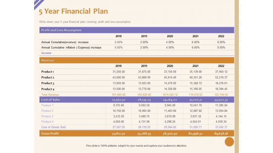 5 year financial plan loss assumption ppt powerpoint presentation icon show