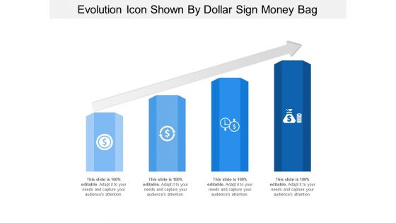 Evolution icon shown by dollar sign money bag