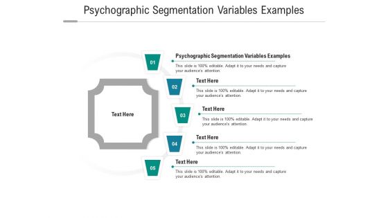 Psychographic segmentation variables examples ppt powerpoint presentation icon skills cpb