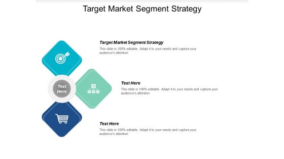 Target market segment strategy ppt powerpoint presentation icon show cpb