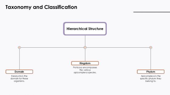 Taxonomy And Classification Apicomplexa Protozoa PPT Outline ACP