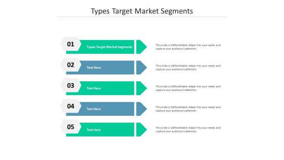 Types target market segments ppt powerpoint presentation file icons cpb