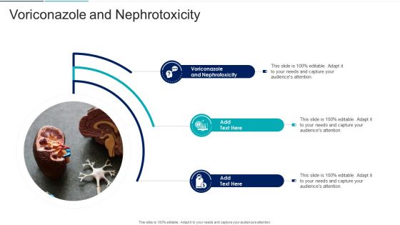 Voriconazole And Nephrotoxicity In Powerpoint And Google Slides Cpp